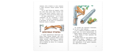 Моя Родина. Рассказы Printed books ЭНАС