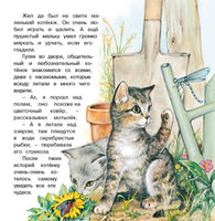 Приключения котенка Printed books Фламинго