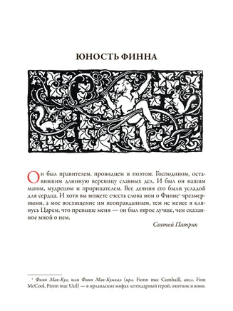 Ирландские предания. Свыше 30 иллюстраций Артура Рэкхема - [bookvoed_us]