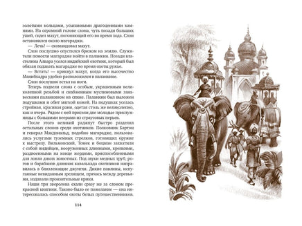 Томек ищет снежного человека (илл. В. Канивца)/Шклярский А. Printed books Азбука