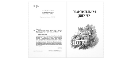 Очаровательная дикарка. Мистер Удача Printed books ЭНАС