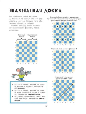 Шахматы. Развивающий учебник для детей и родителей - [купить в сша] - [Bookvoed US]