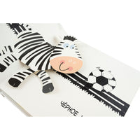 Суперпанорамки Цвета Printed books ND Play