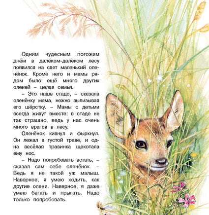 Приключения олененка Printed books Фламинго