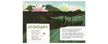 Они такие разные! Printed books ЭНАС