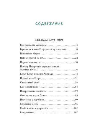 Каникулы кота Егора. Наволочкин Н. Printed books Речь