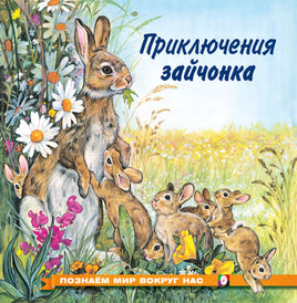 Приключения зайчонка Printed books Фламинго