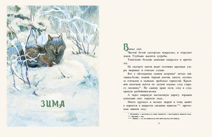 Год в лесу. Соколов-Микитов И. Printed books Речь