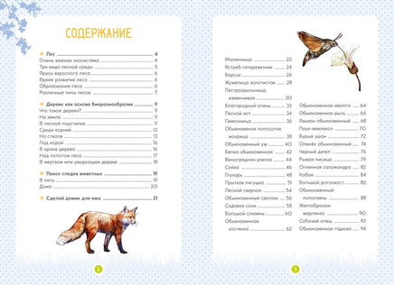 Лесные животные. Энциклопедия юного исследователя Printed books Махаон