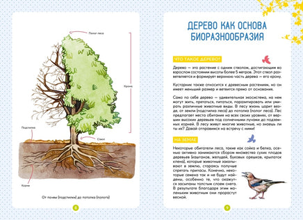 Лесные животные. Энциклопедия юного исследователя Printed books Махаон