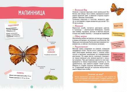 Лесные животные. Энциклопедия юного исследователя Printed books Махаон