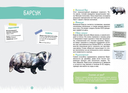 Лесные животные. Энциклопедия юного исследователя Printed books Махаон