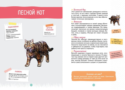 Лесные животные. Энциклопедия юного исследователя Printed books Махаон