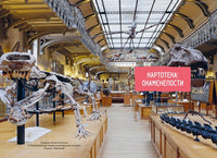 Древний мир. Энциклопедия юного исследователя