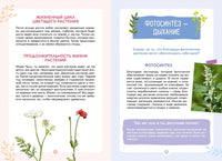 Растения вокруг нас. Энциклопедия юного исследователя