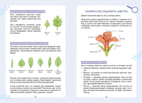 Растения вокруг нас. Энциклопедия юного исследователя