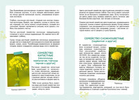 Растения вокруг нас. Энциклопедия юного исследователя