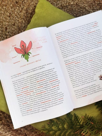 Деревья. Атлас-определитель Printed books Миф