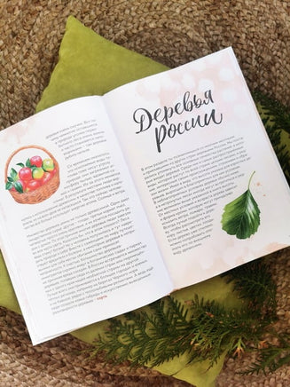 Деревья. Атлас-определитель Printed books Миф