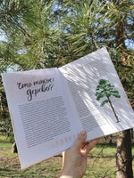 Деревья. Атлас-определитель Printed books Миф