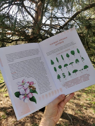 Деревья. Атлас-определитель Printed books Миф