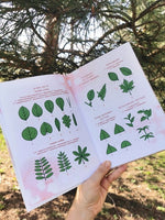 Деревья. Атлас-определитель Printed books Миф