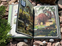 Динозавры. Моя первая книга