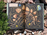 Динозавры. Моя первая книга