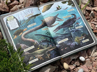 Динозавры. Моя первая книга