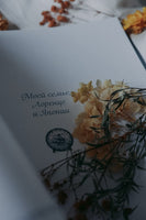 Японские легенды. Оборотень кицунэ, ведьма Такияша, слово самурая, заклинания, месть и любовь