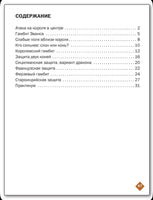 Шахматная школа. Третий год обучения. Рабочая тетрадь/Барский В.Л.