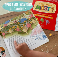 Как устроен мозг? Книга о том, зачем учиться чему-то новому каждый день/ Курпатов А.В.