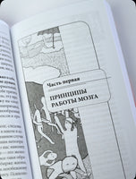 Законы мозга. Универсальные правила/ Курпатов А.В.