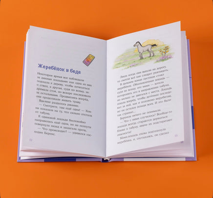 Конни и спасение диких лошадей. Детектив с Конни Printed books Альпина