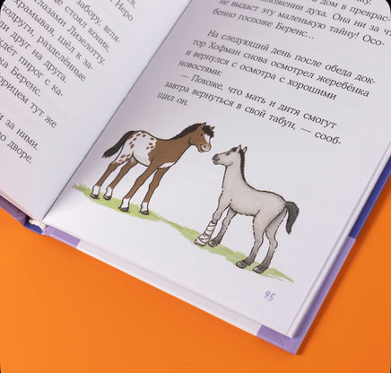 Конни и спасение диких лошадей. Детектив с Конни Printed books Альпина