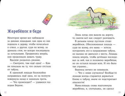 Конни и спасение диких лошадей. Детектив с Конни Printed books Альпина