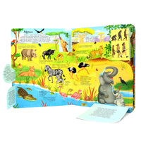 Животные всего мира. Энциклопедия с окошками Printed books ND Play