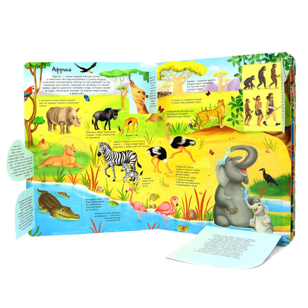 Животные всего мира. Энциклопедия с окошками Printed books ND Play