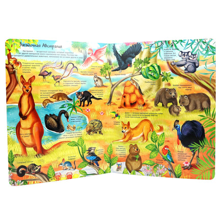 Животные всего мира. Энциклопедия с окошками Printed books ND Play