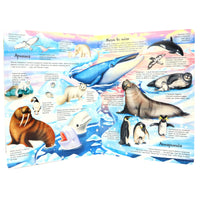 Животные всего мира. Энциклопедия с окошками Printed books ND Play