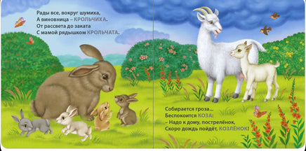 Загадки - рифмы. Мамы и малыши. Домашние животные. Книжки - картонки Printed books Робинс