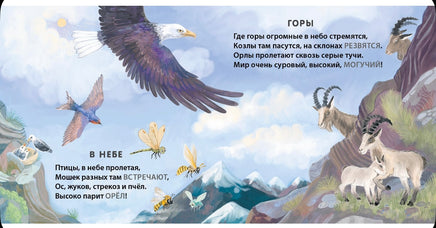 Кто где живёт. Загадки - рифмы Printed books Робинс