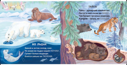 Кто где живёт. Загадки - рифмы Printed books Робинс