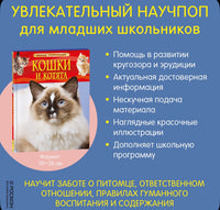 Кошки и котята. Детская энциклопедия школьника 7 лет. Травина И. Printed books Росмэн