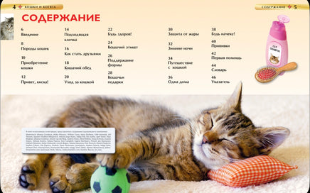 Кошки и котята. Детская энциклопедия школьника 7 лет. Травина И. Printed books Росмэн