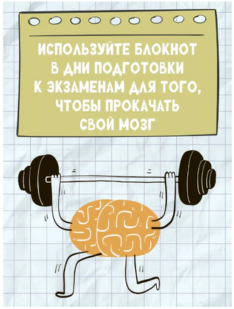 Нейроподготовка к экзаменам. Ш. Ахмадуллин Printed books Капитал