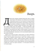 Волшебник страны Оз. Б. Фрэнк, Перез С. Printed books АСТ