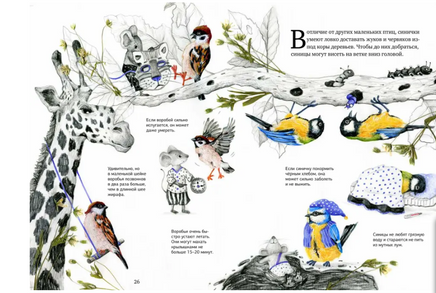 Воробьи и Синицы - любимые птицы - [купить в сша] - [Bookvoed US]