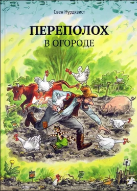 Переполох в огроде. Свен Нурдквист. - [bookvoed_us]