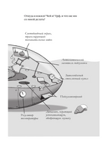 Удивительные механические звери